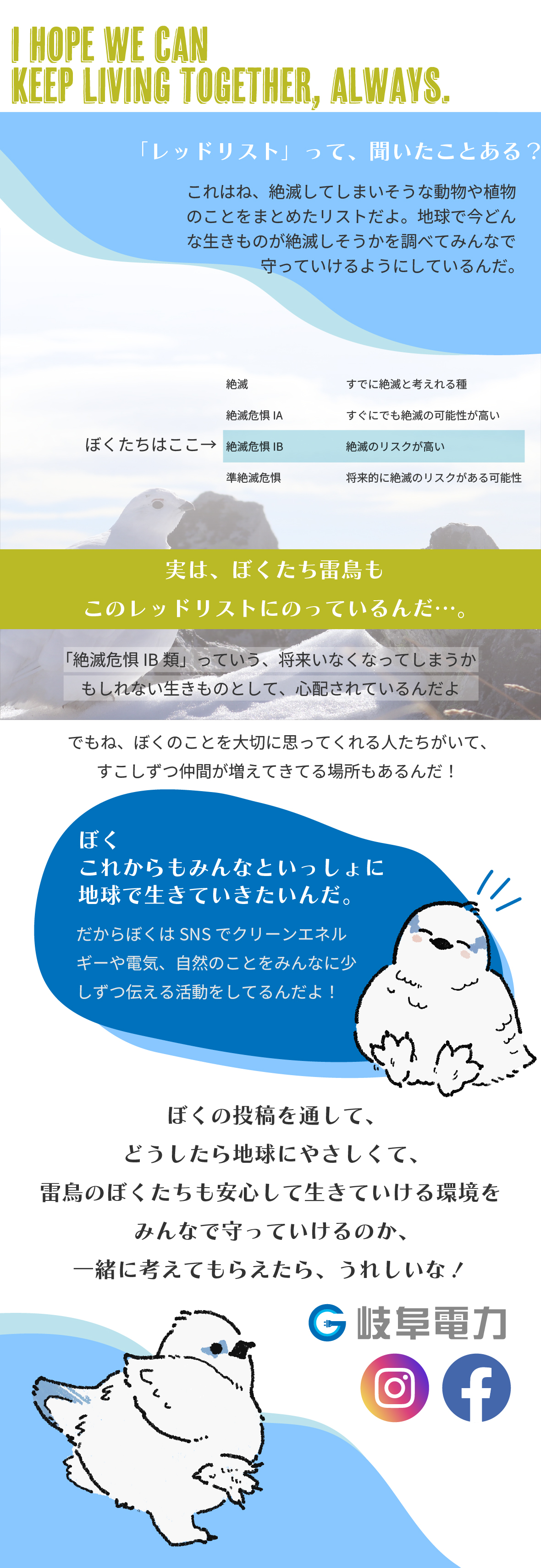 ぼくたち雷鳥は冬と夏、秋に衣替えをするおしゃれな鳥なんだ！